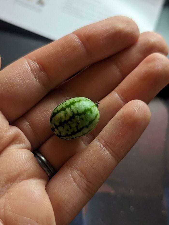 image-20240514114727-1