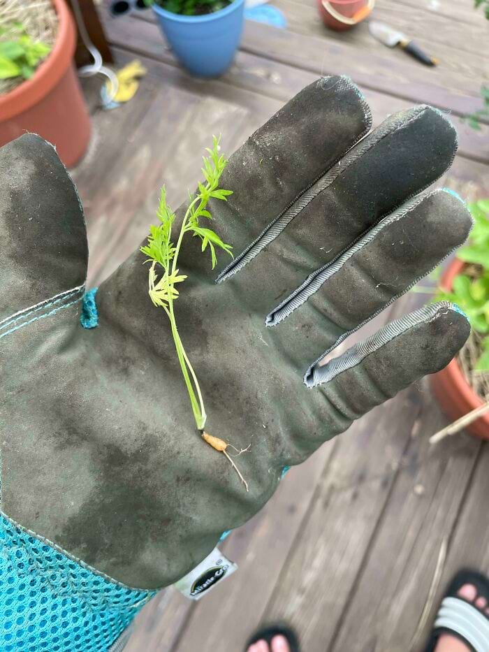 image-20240514114731-2