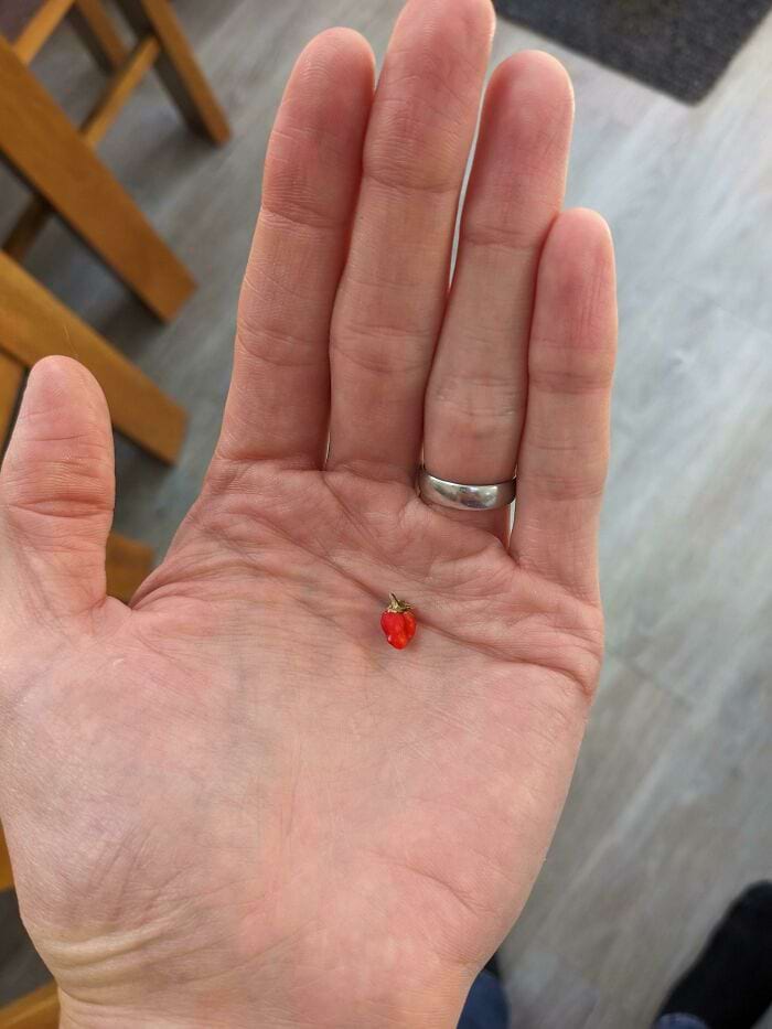 image-20240514114734-3