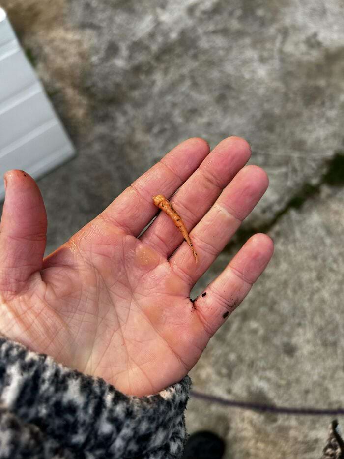 image-20240514114742-5