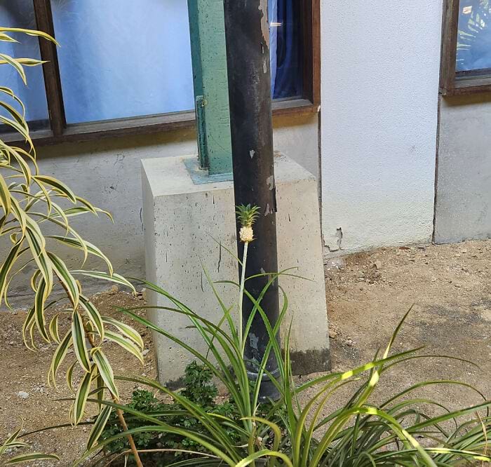 image-20240514114746-6