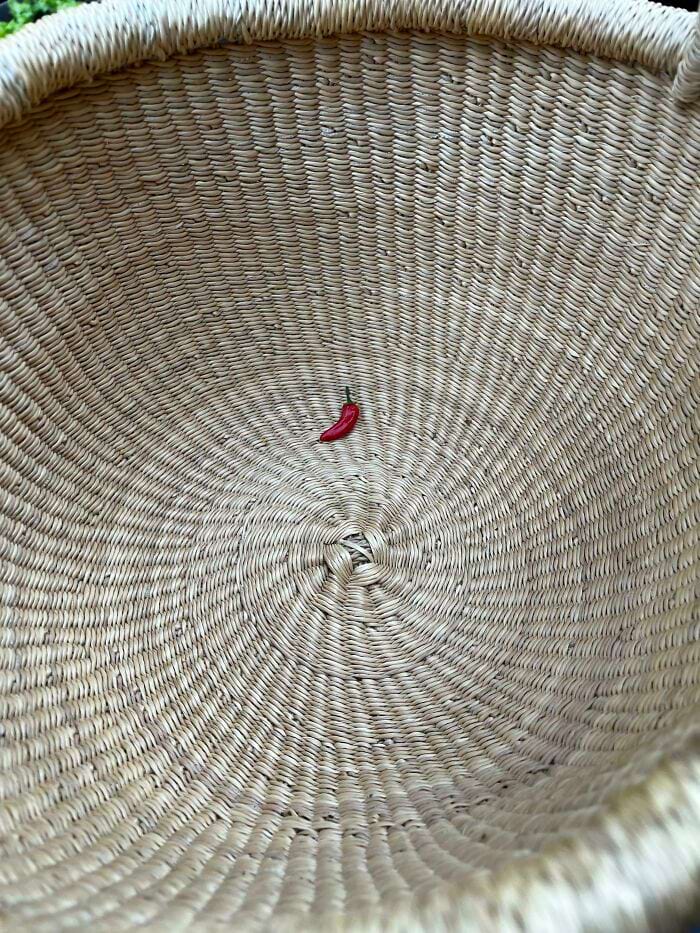 image-20240514114749-7