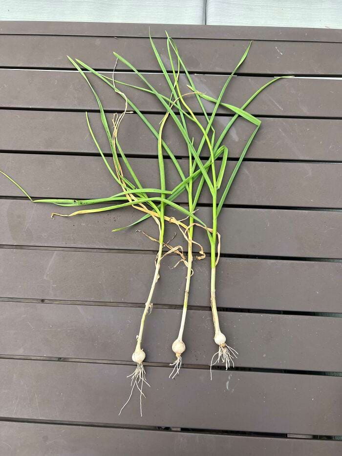 image-20240514114801-10