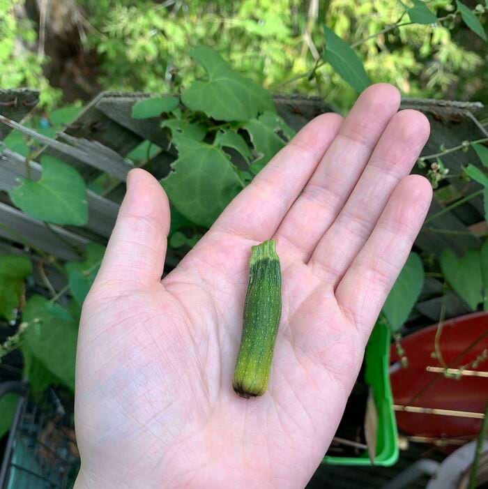 image-20240514114808-12