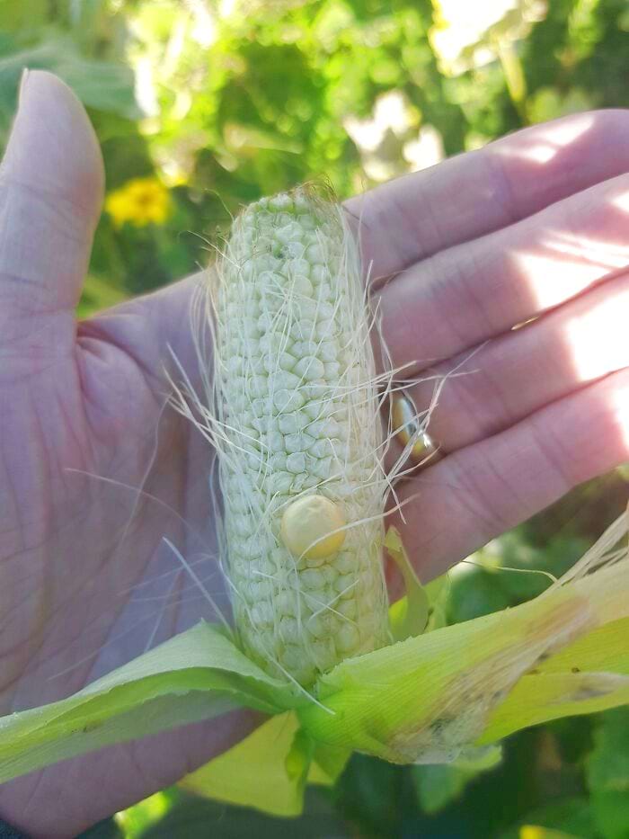 image-20240514114820-15