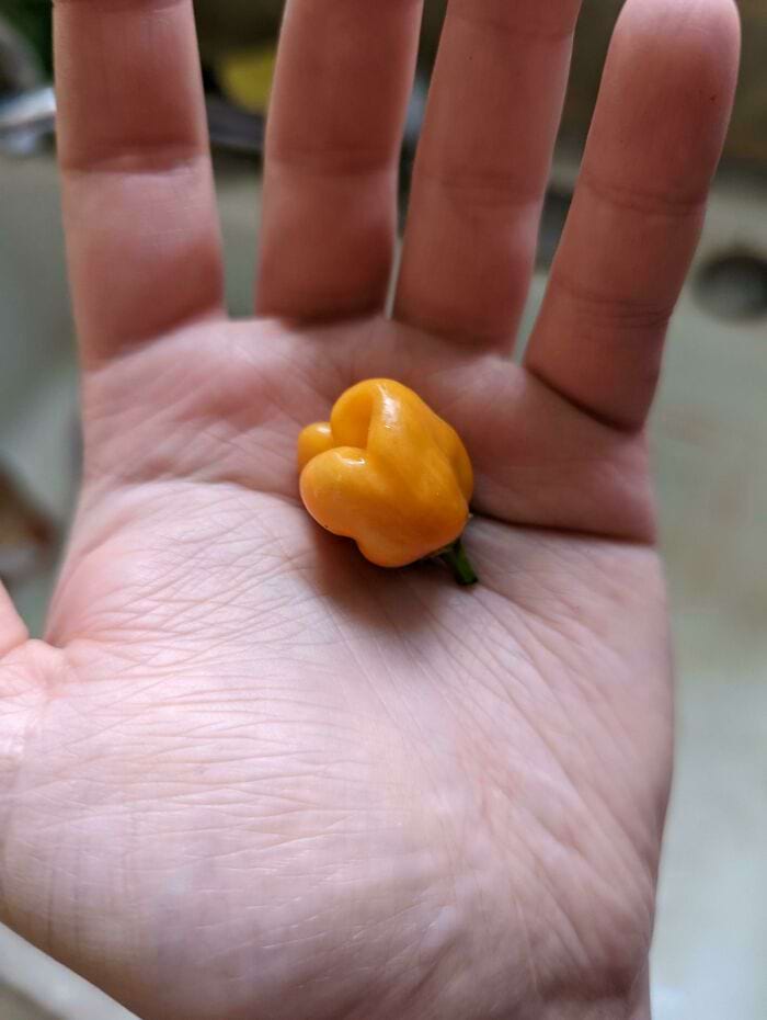 image-20240514114824-16