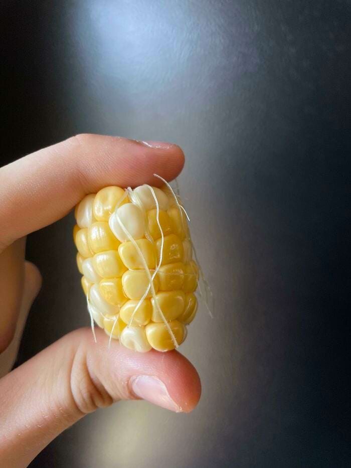 image-20240514114830-18