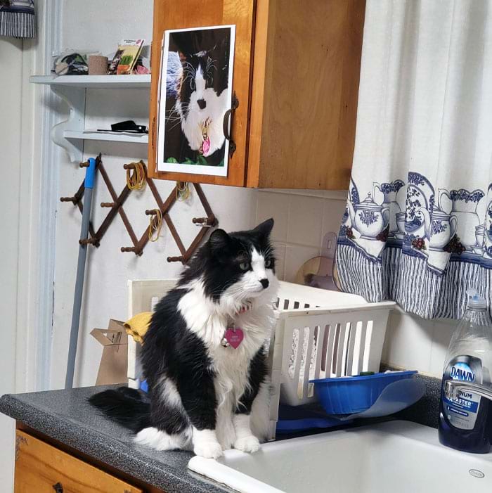 image-20240514150925-14