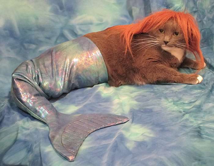 image-20240514150932-16