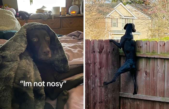 image-20240515155443-1