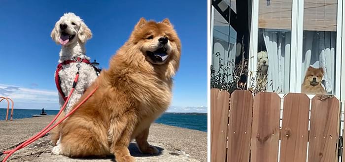 image-20240515155458-6