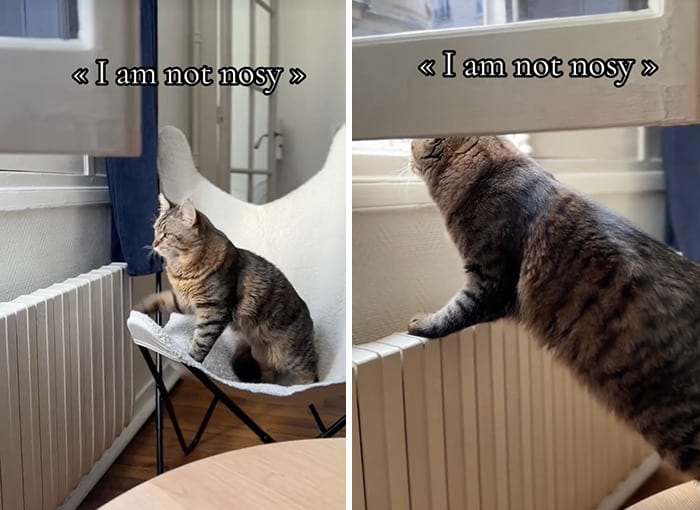 image-20240515155622-16