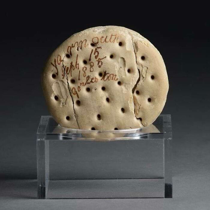 image-20240530095148-8