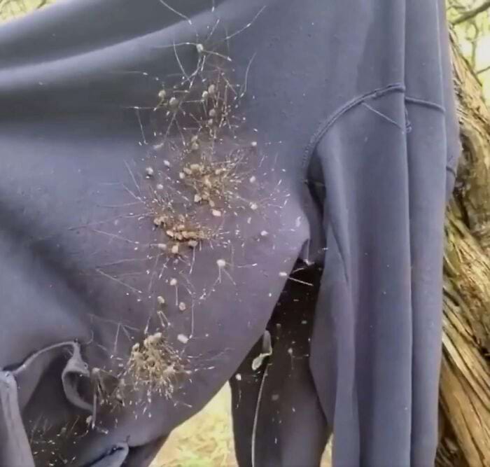 image-20240531111003-6