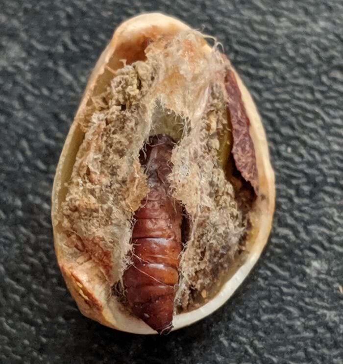 image-20240531111019-11