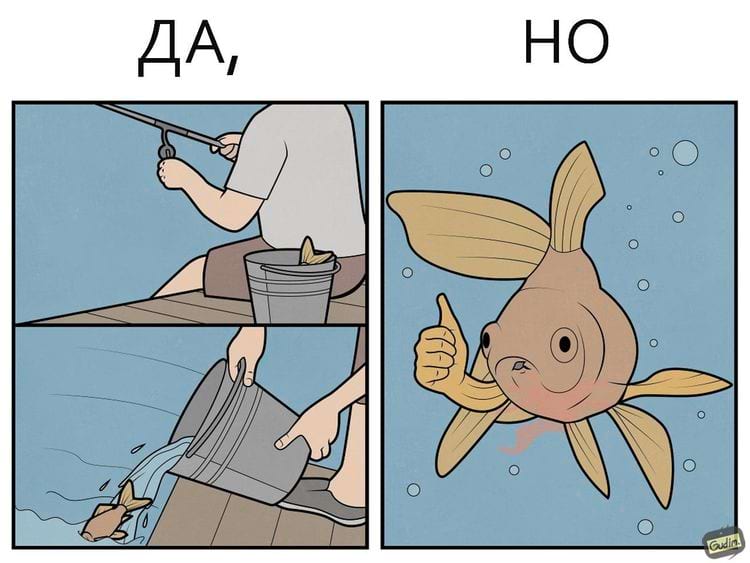 image-20240603104741-15