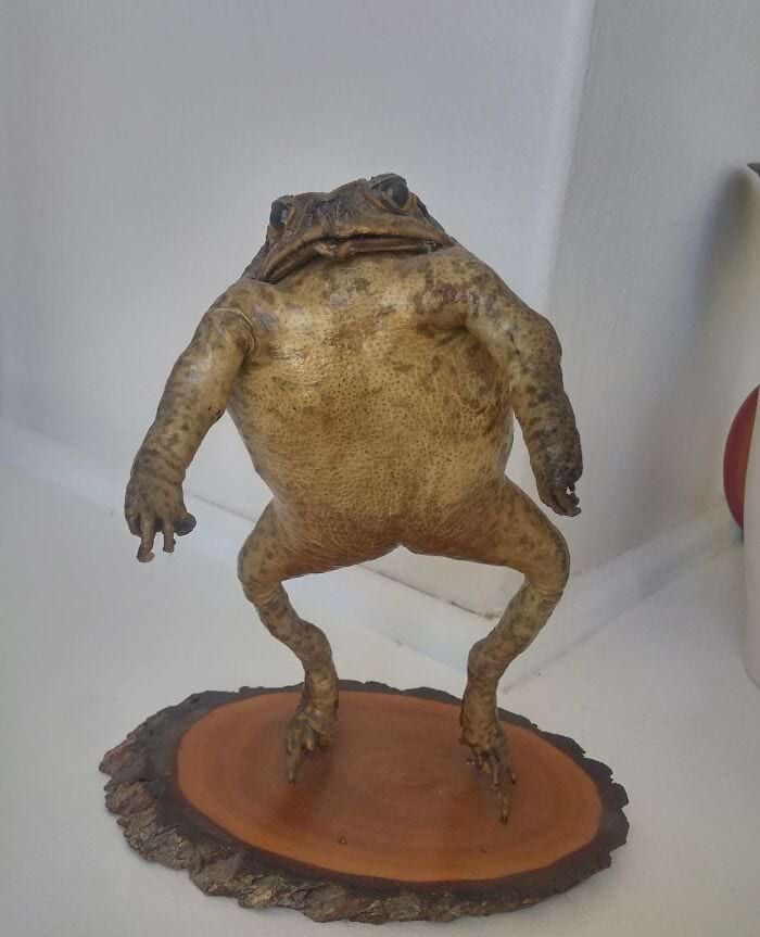 image-20240603115718-14