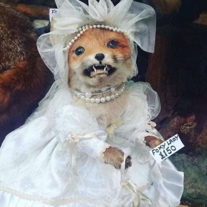 image-20240603120441-16