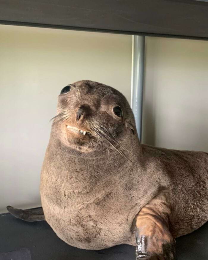 image-20240603120445-18