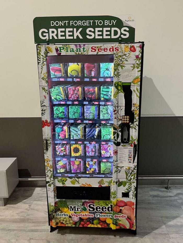 image-20240603130132-3