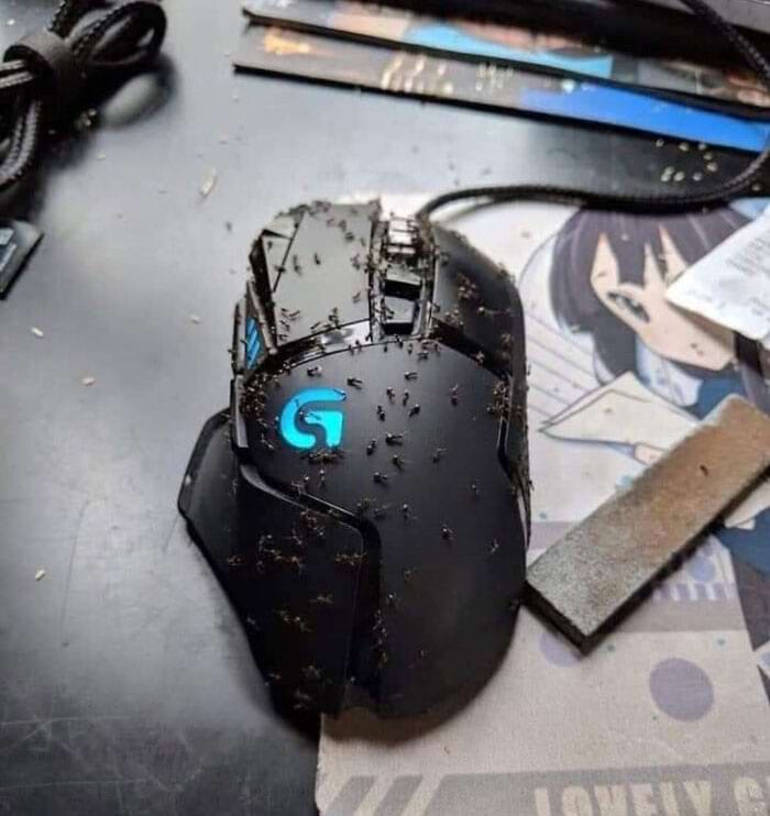 image-20240603171616-16