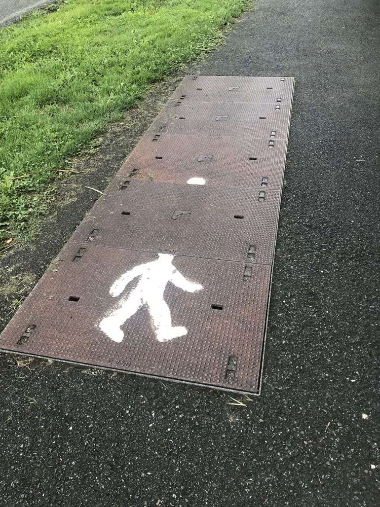 image-20240613133451-15