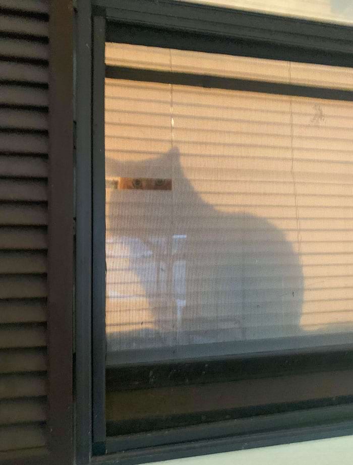 image-20240613181659-4