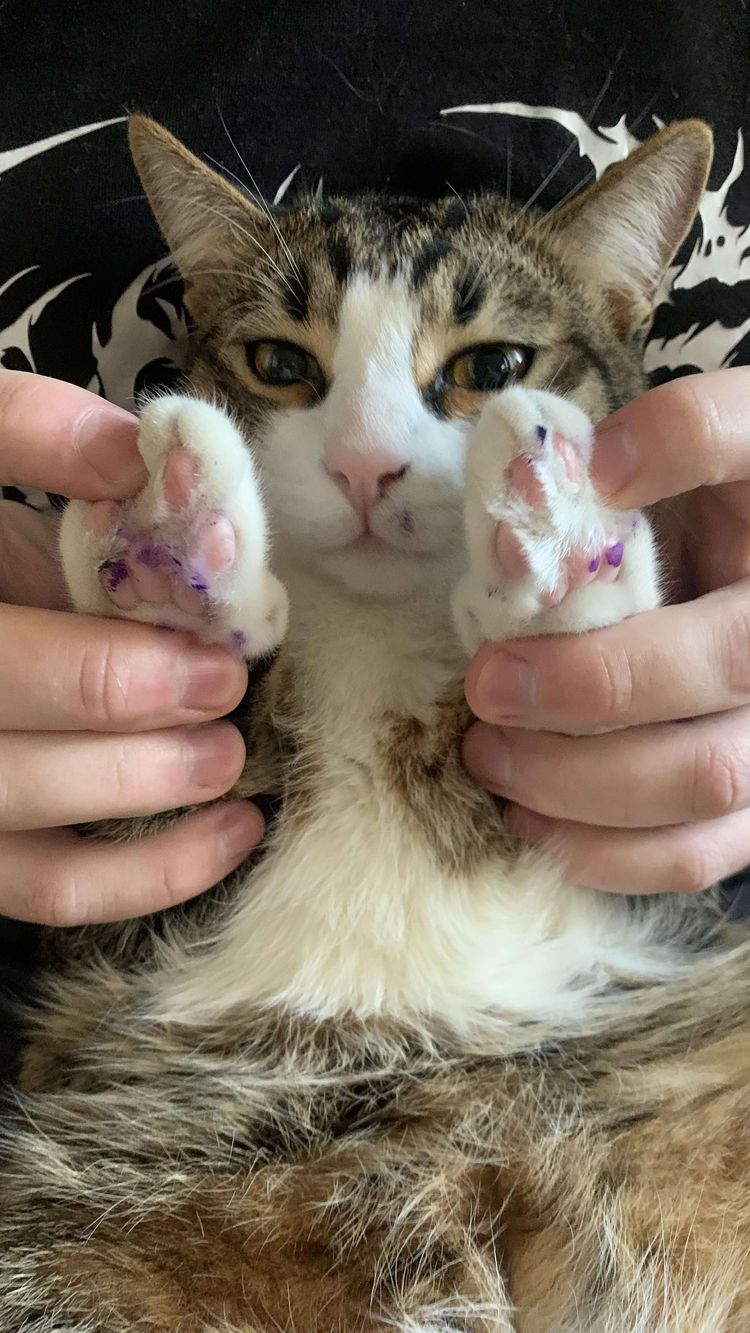 image-20240613181712-8