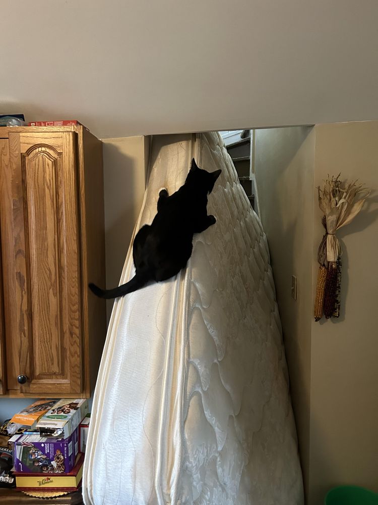 image-20240613181715-9