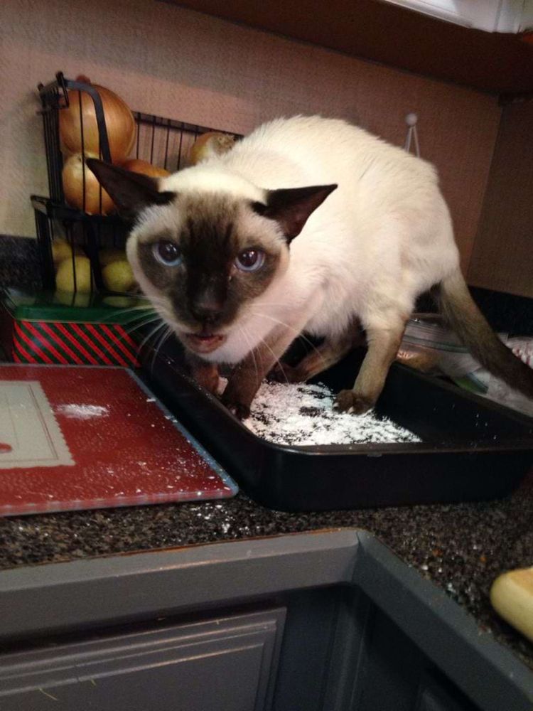 image-20240613181723-11