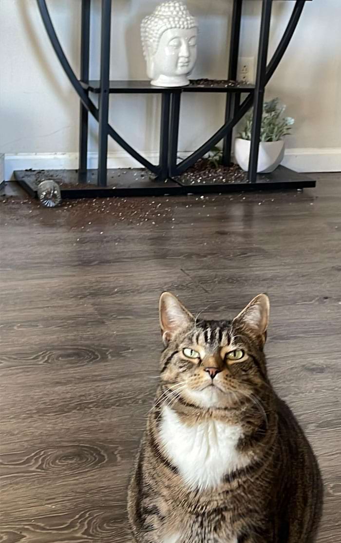 image-20240613181726-12