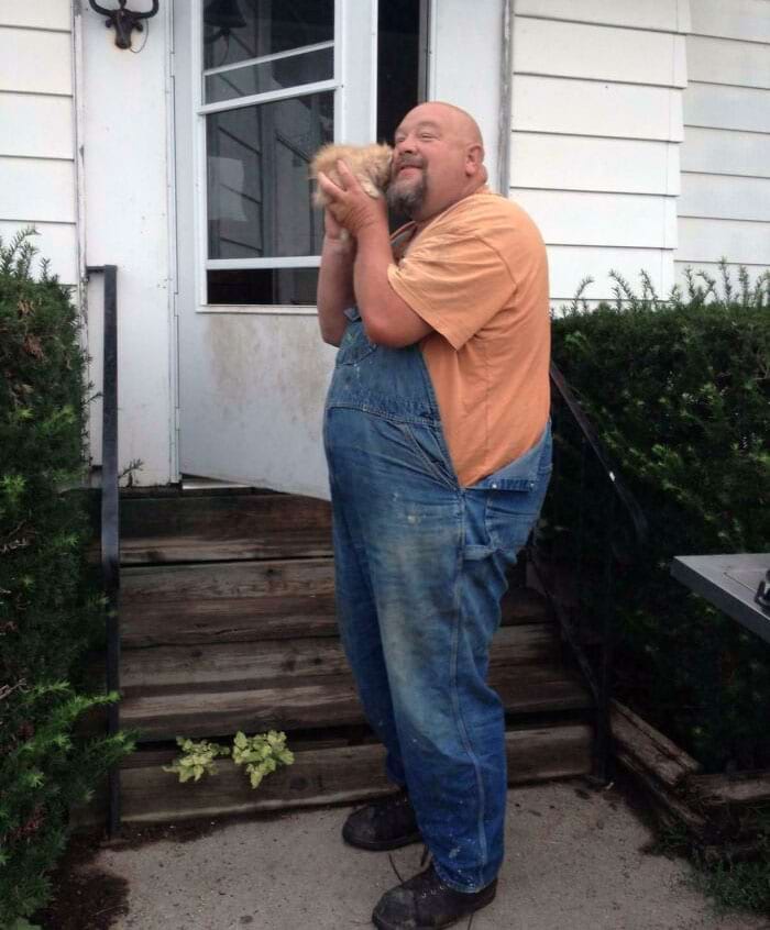 image-20240614114956-1