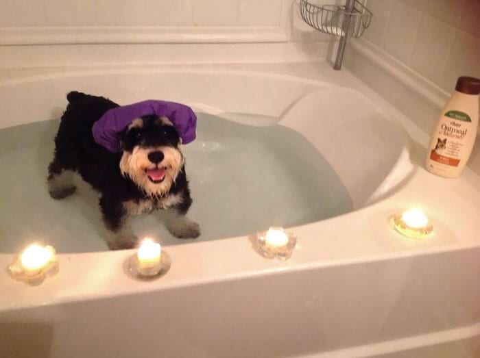 image-20240614115003-2