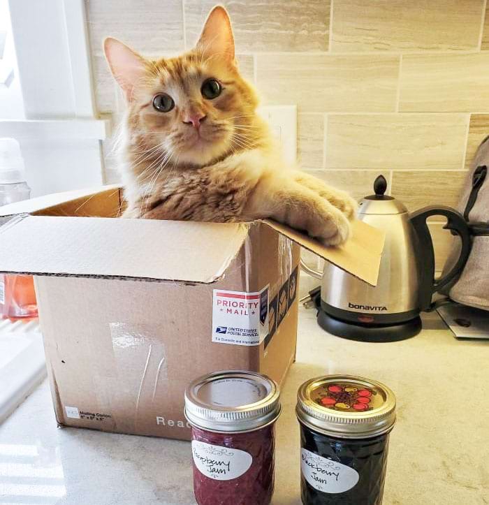 image-20240614115012-5