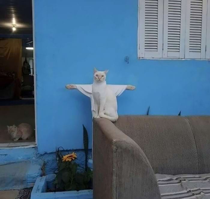 image-20240614161404-3