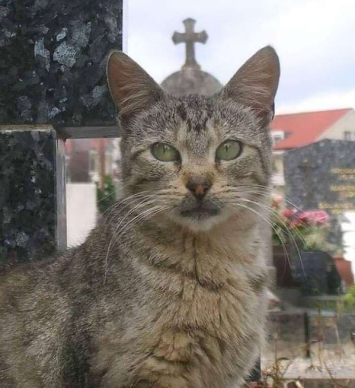 image-20240614161407-4