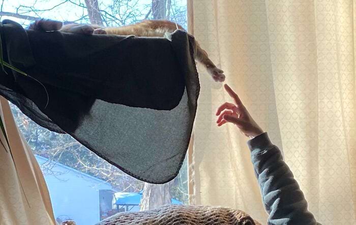 image-20240614161432-12