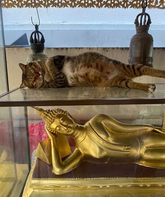 image-20240614161439-14