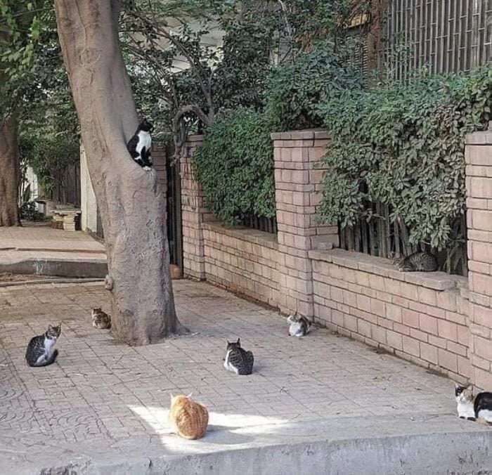 image-20240614161448-16