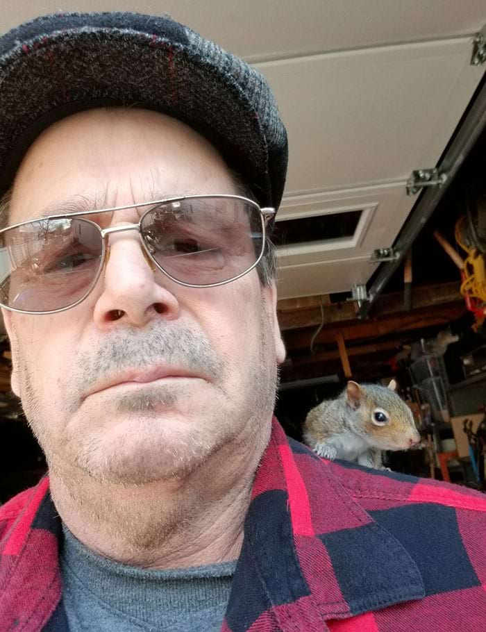 image-20240617133538-5