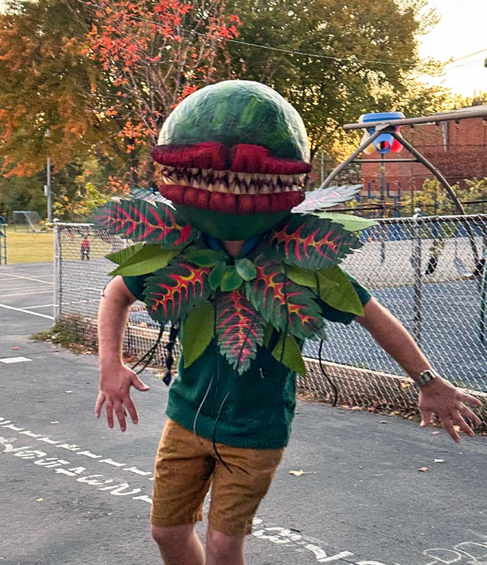 image-20240617133810-15