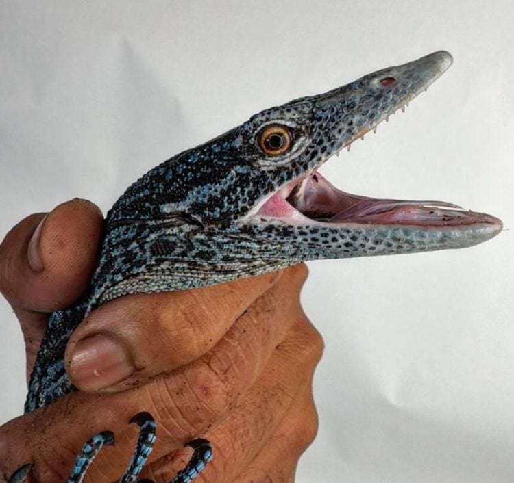 image-20240619140024-3