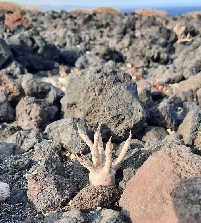 image-20240619140030-5