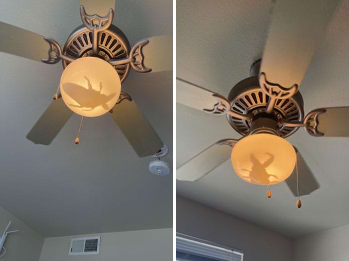 image-20240619140038-6