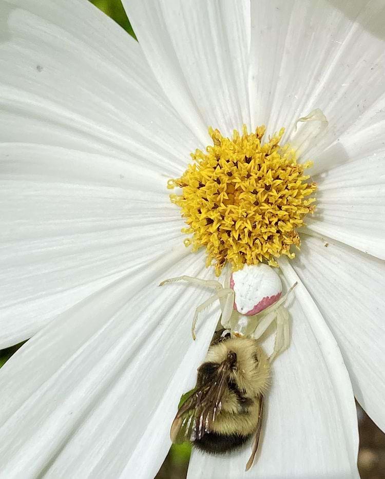 image-20240619140135-8