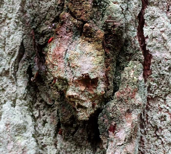 image-20240619140140-9