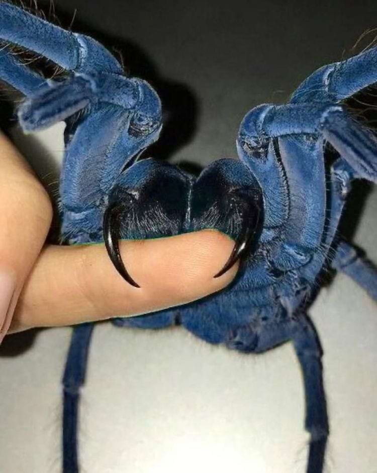 image-20240619140150-12