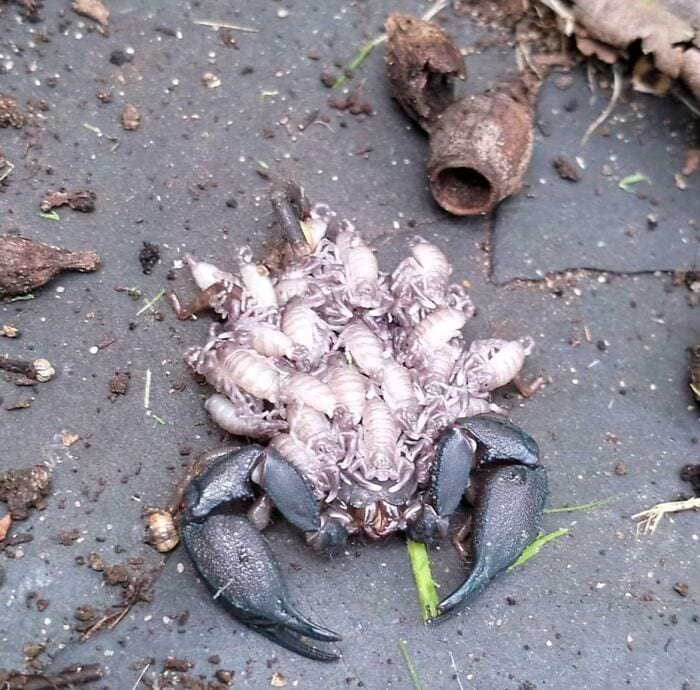 image-20240619140156-14