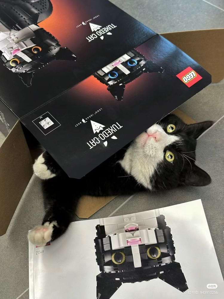 image-20240621135908-1