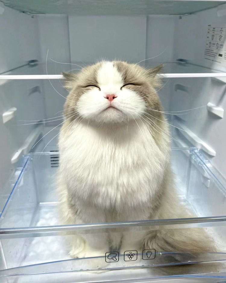 image-20240621135914-3